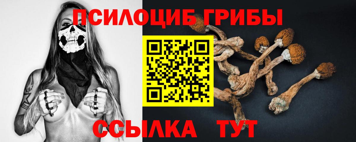 Псилоцибиновые грибы Magic Shrooms Мирный